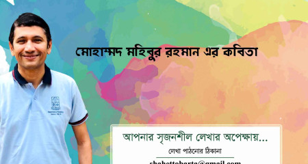 মোহাম্মদ মহিবুর রহমান এর কবিতা